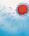 Boost your chances of making babies The Sunday Mirror