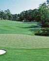 GOLF US MASTERS The Sunday Mirror