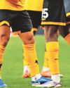 It's win small step for Mane It's win small step for Mane56