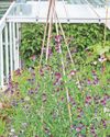 A perfect focal point for your outside space43