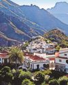 Bathe in a sea of Canarian colour Bathe in a sea of Canarian colour43