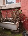 Man fuming as mum, 78, fleeced by 'cowboy' handymen Man fuming as mum, 78, fleeced by 'cowboy' handymen