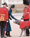 Princess buys St Patrick's Day pint for troops Princess buys St Patrick's Day pint for troops