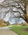Council will 'seal' city's green space Council will 'seal' city's green space