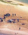 Helicopter crash report gives 'clarity'