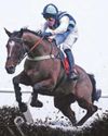 Big Boy Bobby to win the Swinton Hurdle at Haydock Big Boy Bobby to win the Swinton Hurdle at Haydock