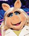 Singing with the Muppets was the best day at the office that I've ever had38