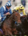 Alyanaabi to the John Of Gaunt Stakes at Haydock27