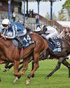 Star Of Mehmas to win the Scurry Stakes at Sandown24