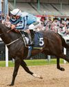 Onesmoothoperator to win the 'Pitmen's Derby' again25