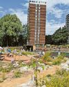 From concrete jungle to a 21st century oasis19