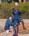 Lions skipper backs Farrell's comeback34