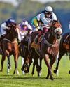 Cotai Belle can grab victory in Super Sprint at Newbury26