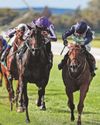 Surrey Belle looks set to strike in Cesarewitch25