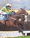 Jagwar can strike Gold in Paddy Power at Cheltenham Jagwar can strike Gold in Paddy Power at Cheltenham24