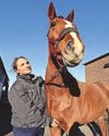 EQUESTRIAN SERVICES BUSINESS BATTLES TO KEEP ITS BASE AFTER EVICTION NOTICE2