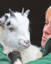Much-loved city farm facing closure without support4