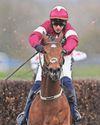 Tragedy as Gold Dancer put down after Aintree win Tragedy as Gold Dancer put down after Aintree win8