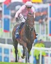 O'Brien's 12th Derby day of Christmas O'Brien's 12th Derby day of Christmas22