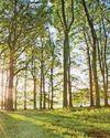 'Planning reforms put wildlife at risk' 'Planning reforms put wildlife at risk'