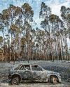 UN report shows Europe is fastest-warming continent UN report shows Europe is fastest-warming continent