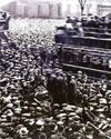 'Edwardian masters' hailed heroes 'Edwardian masters' hailed heroes