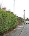 Hit-and-run horror on 'lethal' local road Hit-and-run horror on 'lethal' local road