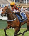Teal's charge takes next step to mile success Teal's charge takes next step to mile success