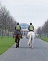 City centre 'anti-social hotspot' of the country City centre 'anti-social hotspot' of the country