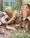 New toad leaps into place at hall