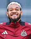 Toon boost as Joe returns to training
