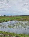 Mapping data shows 80% of England's peatlands are dry Mapping data shows 80% of England's peatlands are dry