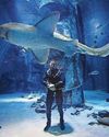 Snakes, sharks, sneaky hippos... wildlife is my safe space25