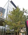 15 years to recoup £40m hotel debt5