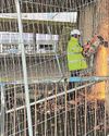 We don't want to close the Metro again, say bosses1