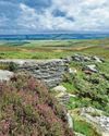 Major milestone in bid to buy the Rothbury Estate19