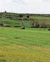 Solar farm scheme set to get the green light5