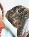 A warning shot on rabbit virus27