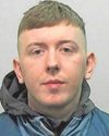 Men filmed as dogs mauled terrified deer18