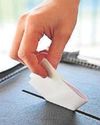 Plan to auto-enrol youngsters to vote The Chronicle