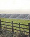 'We're not going to let it go', say locals opposed to solar farm The Chronicle