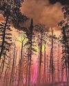 Wildfires spark 'fire clouds' The Chronicle