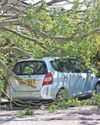 Clean-up continues after Storm Floris The Chronicle