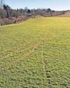 'Soul-destroying' blow as football pitch damaged by motorbikes 'Soul-destroying' blow as football pitch damaged by motorbikes5