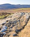 Bid to buy vast estate for nature celebrates £10million milestone Bid to buy vast estate for nature celebrates £10million milestone28