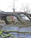 New weather warning for ice issued after severe storm New weather warning for ice issued after severe storm0