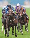 Venetian Sun’s Guineas prep30