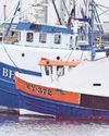 Couple fined for repeatedly landing undersized lobsters15