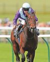 'Flagship' performer set for run at Ascot 'Flagship' performer set for run at Ascot26