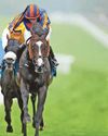 O'Brien hopes to set Gold Cup record O'Brien hopes to set Gold Cup record25